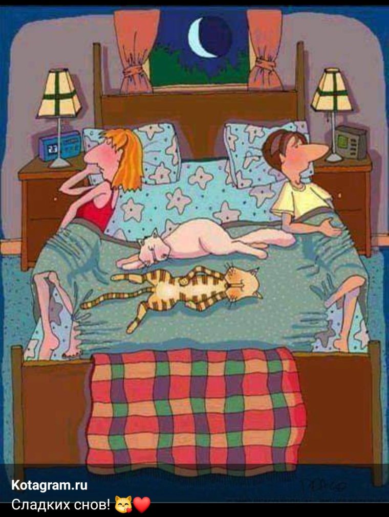Спокойной ночи прикол смешной