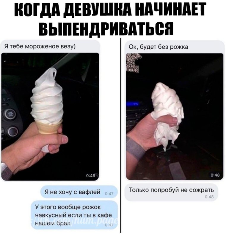 Кот утром будит хозяина