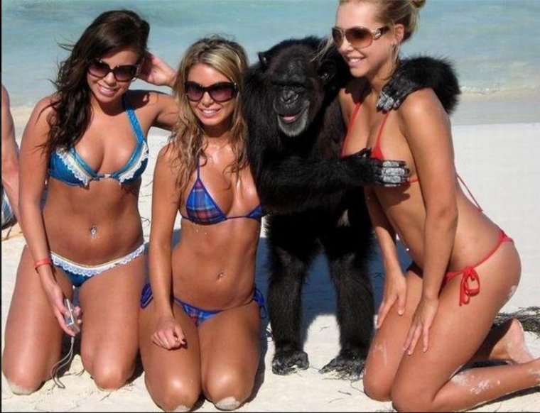 Девушки в смешных купальниках