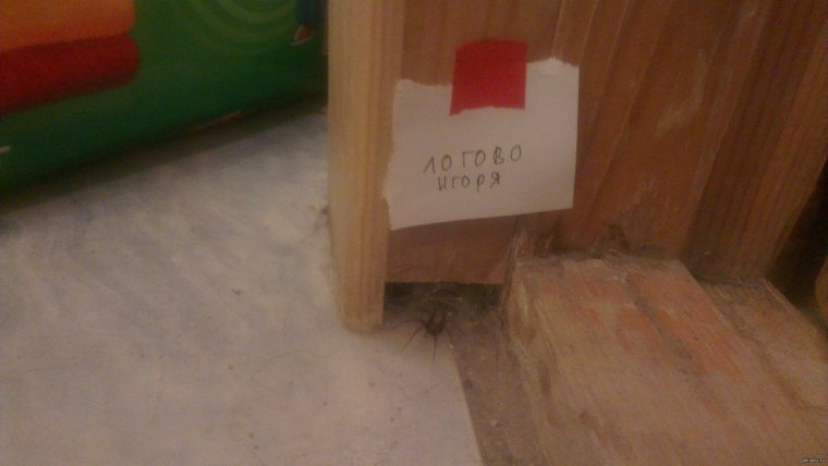 Игорь прикол