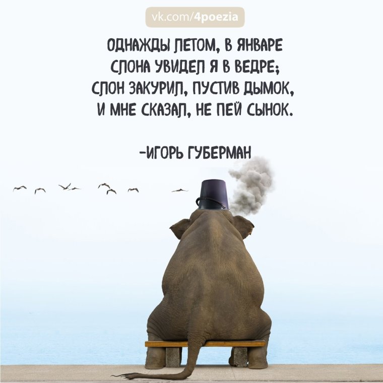 Губерман Игорь стихи о жизни