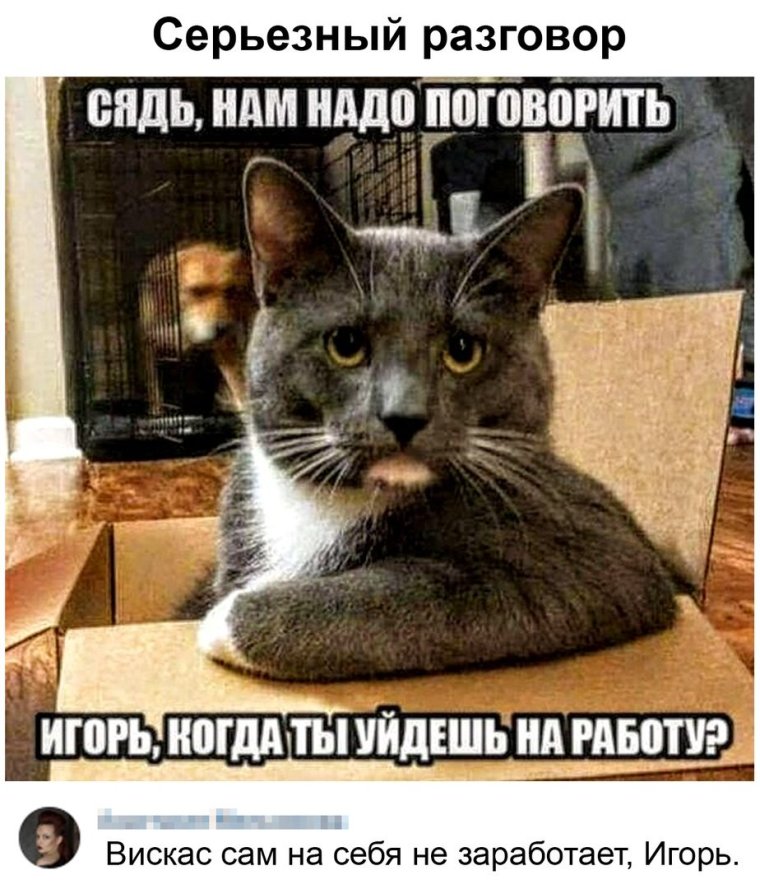 Мемы комиксы про Печкина