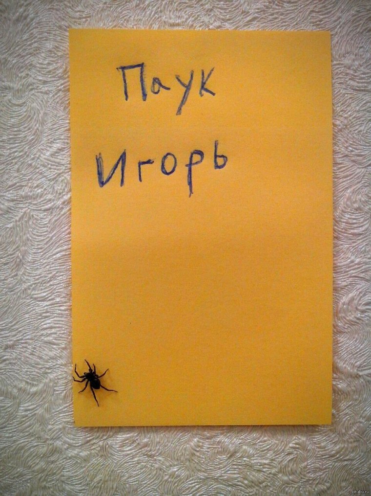 Рон Свонсон