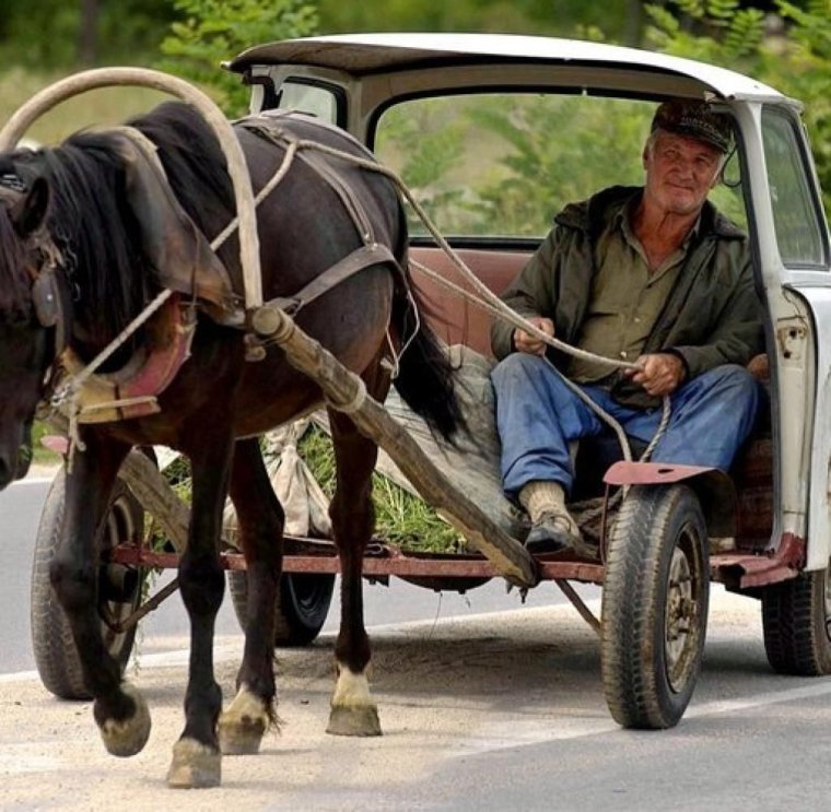 Цыганские ученые