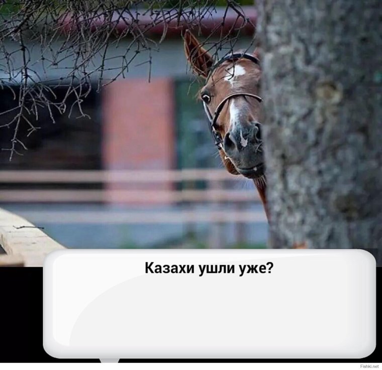 Цыганка на коне