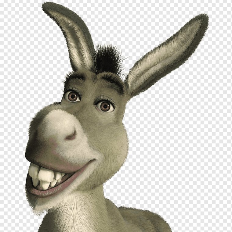 Shrek осел