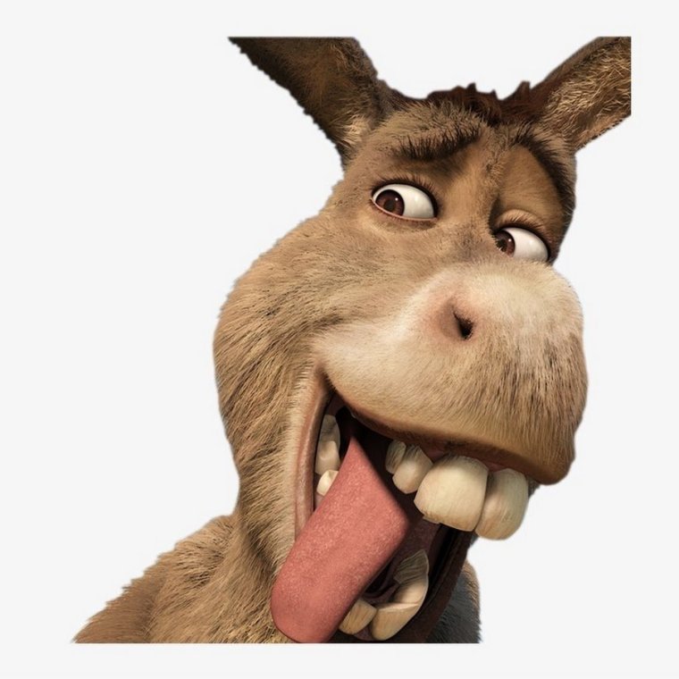 Shrek осел