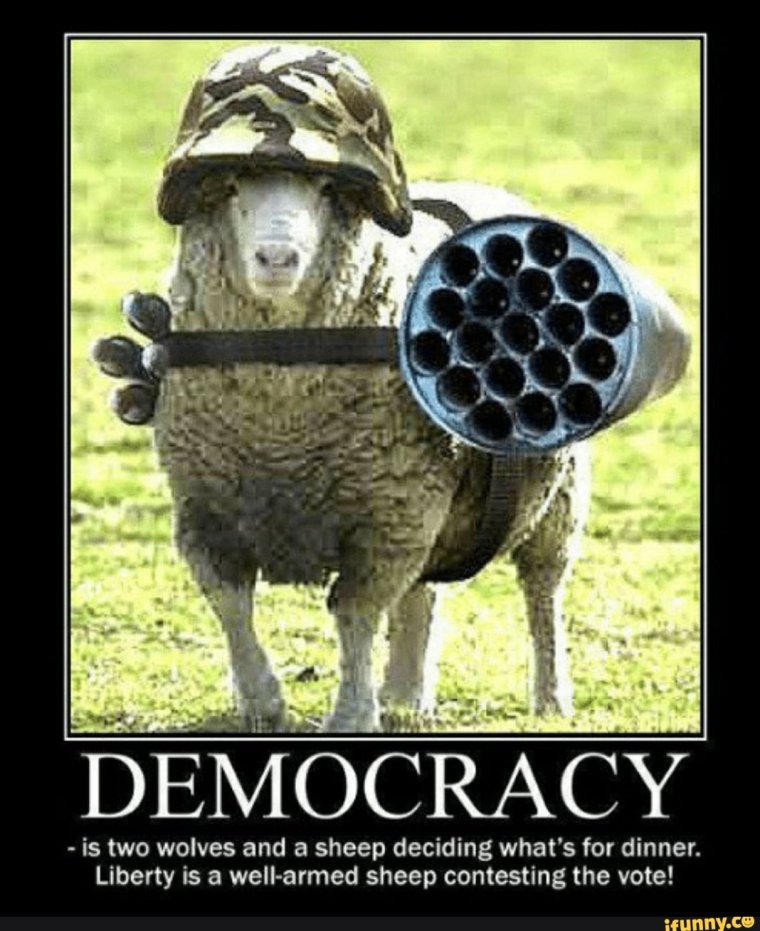 Баран с пушкой