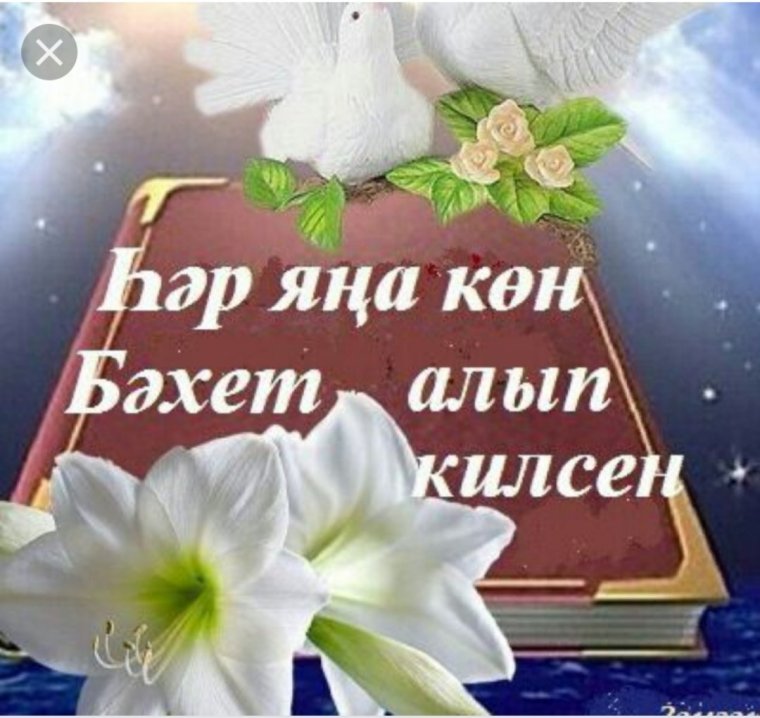 Сердэшлэр хэерле кон
