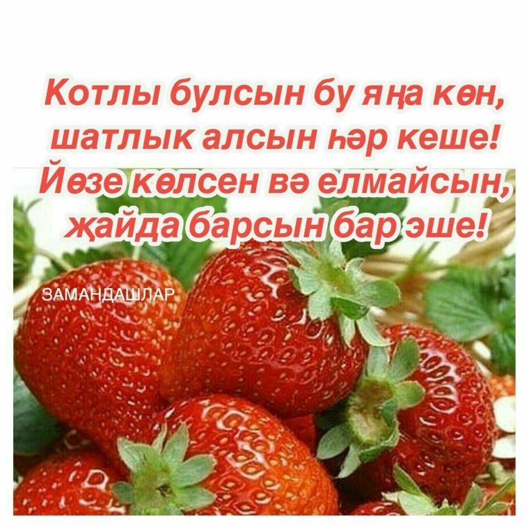Открытки с добрым утром на татарском языке