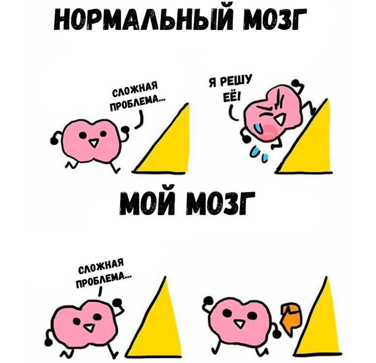 Мой мозг