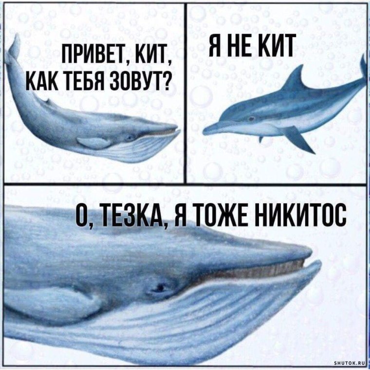 Есенин стихи с матом Есенин стихи с матом