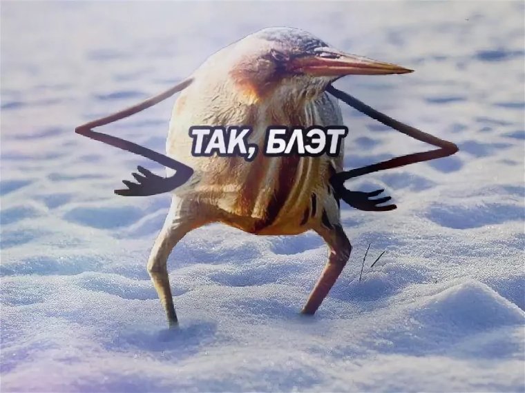 Люблю свою лучшую подругу