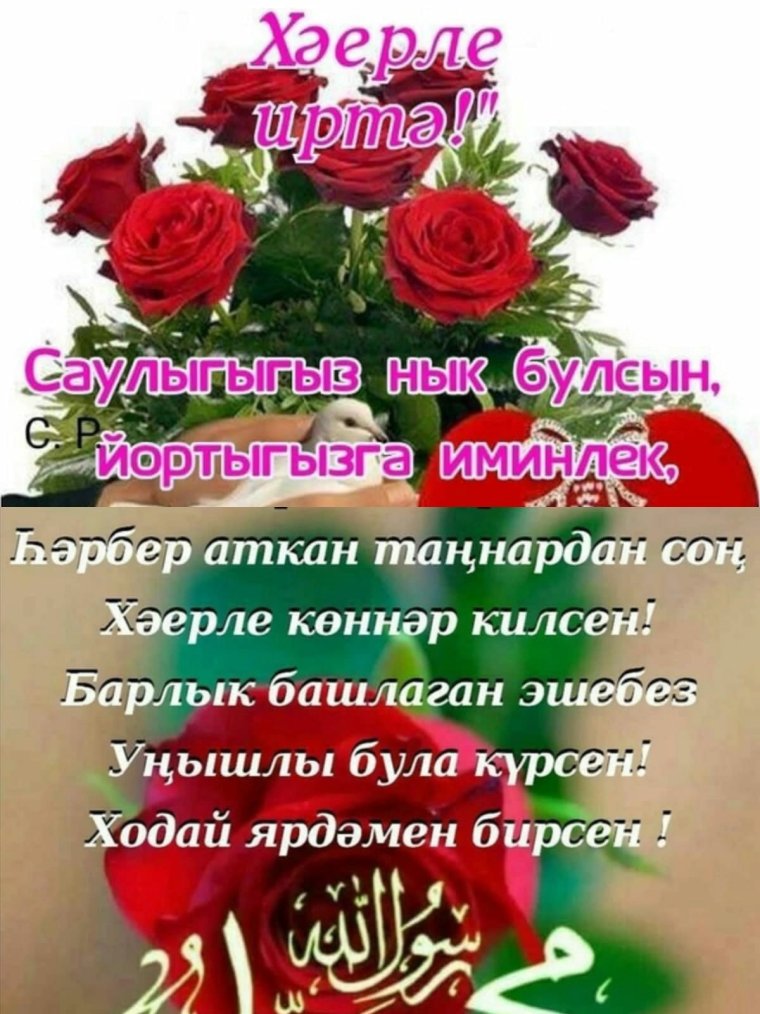 Открытки на татарском языке хэерле иртэ зима