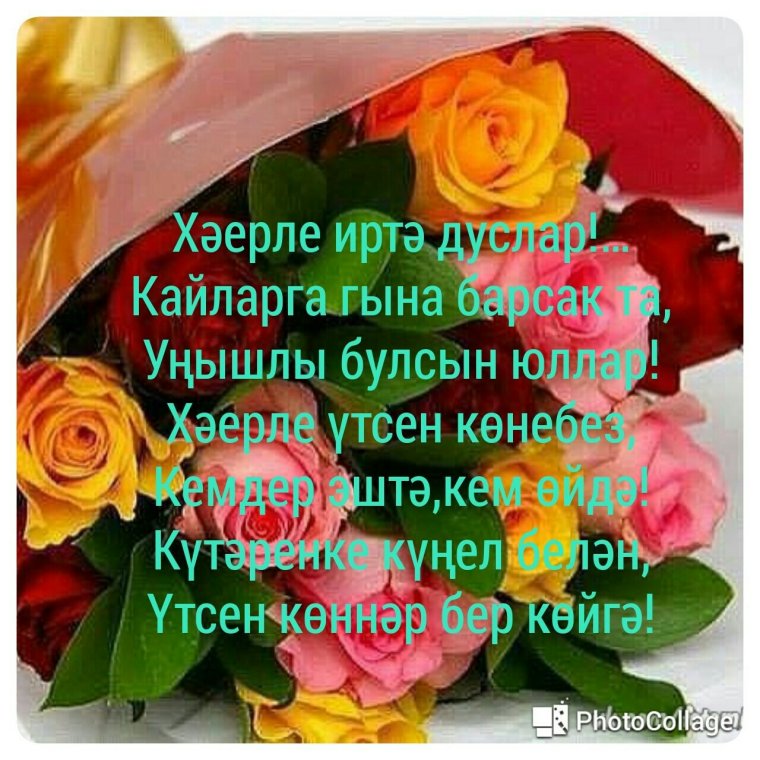 Кояшлы кон