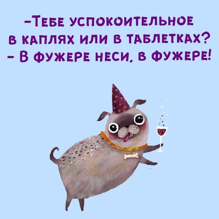 Афоризмы прикольные