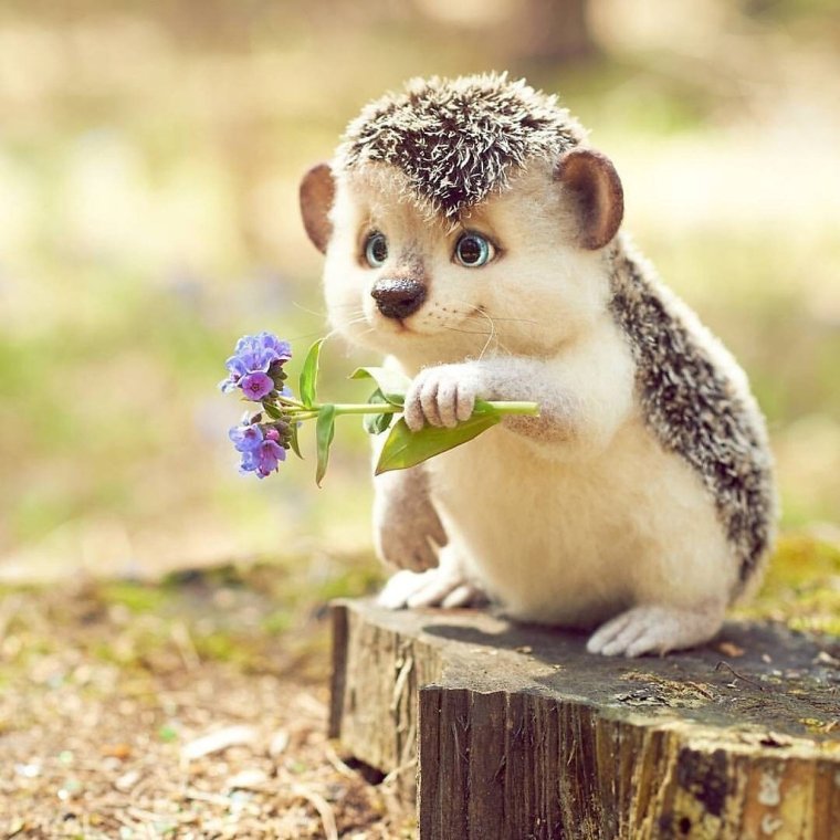 Позитивчик для хорошего настроения