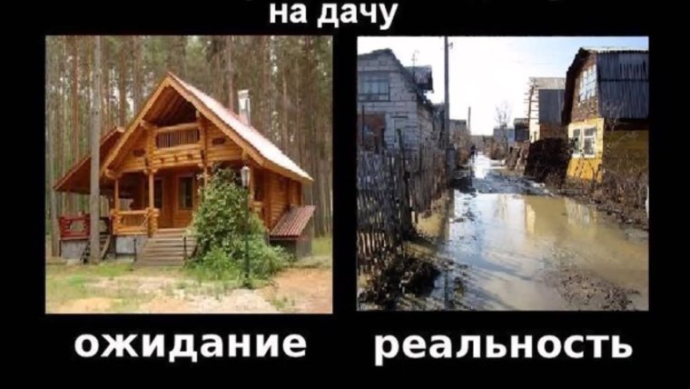 Дача ожидание и реальность