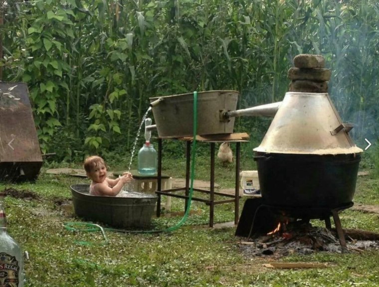 Мой план дачного участка юмор