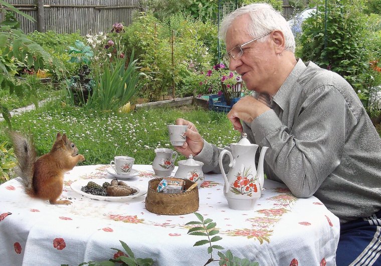 Приколы про дачу