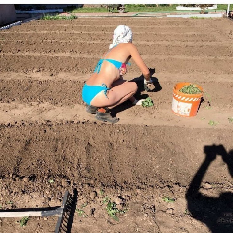 Прикольные фото на даче