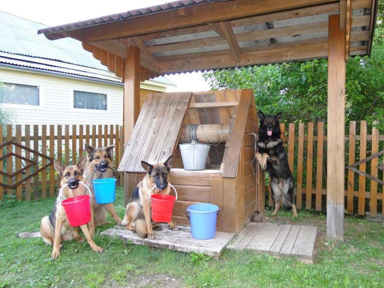 Главное правило пьянки на даче