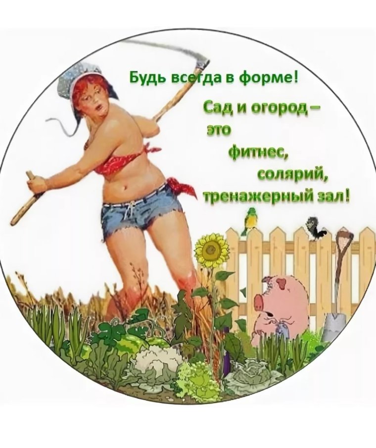 Компьютер на даче