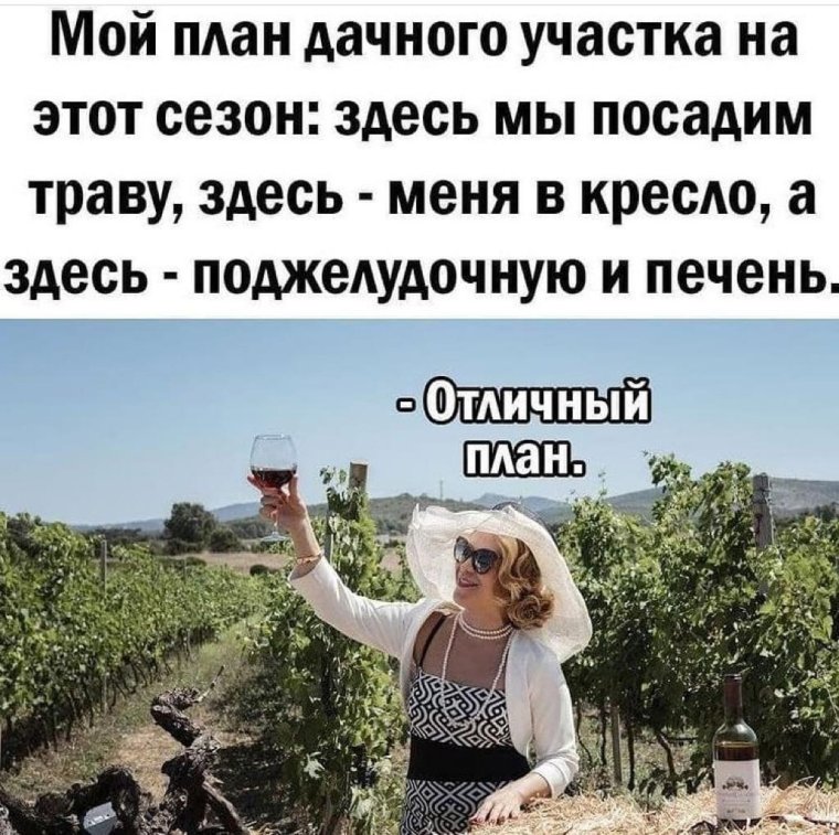 Первое правило пьянки на даче