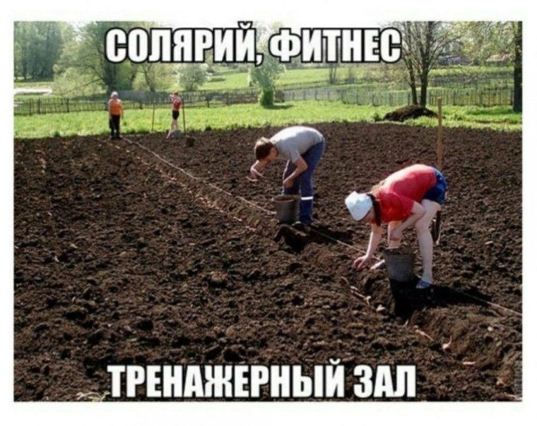 Демотиваторы про огород