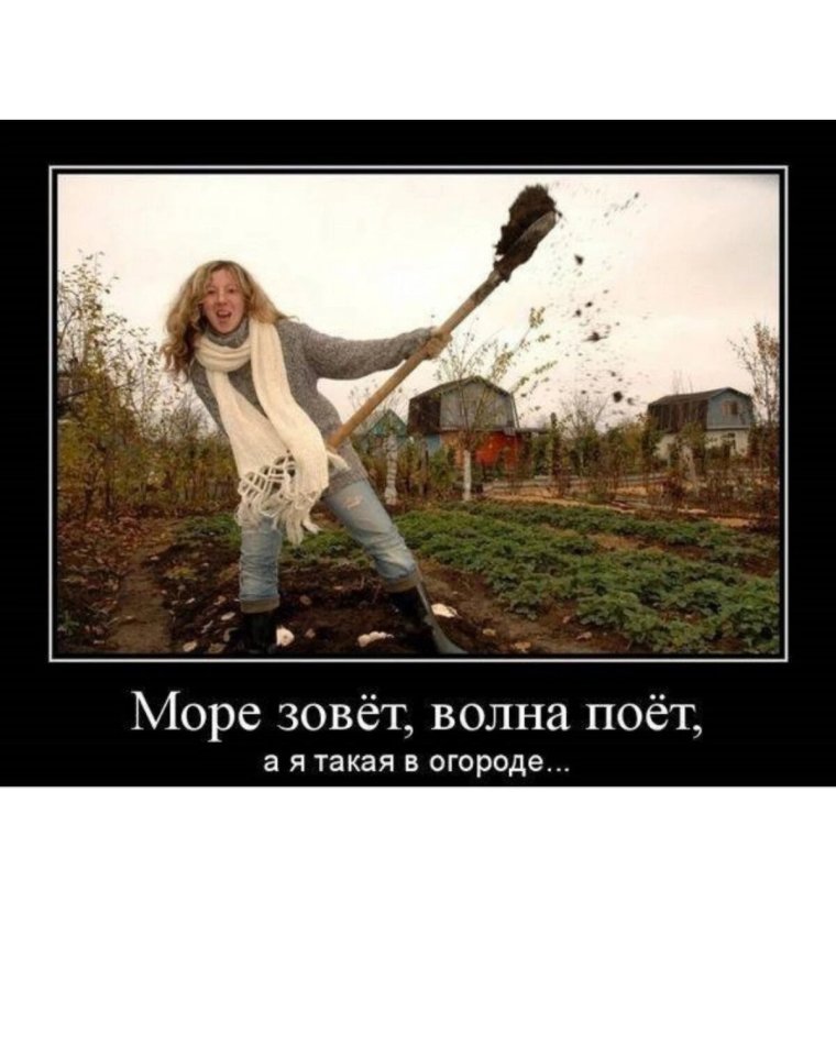 Приколы про соседей