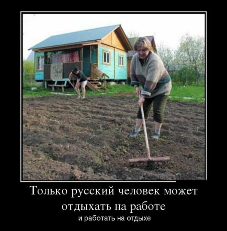 Питомцы на даче