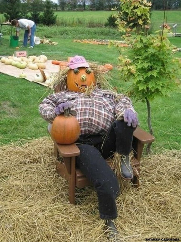 Дачные приколы