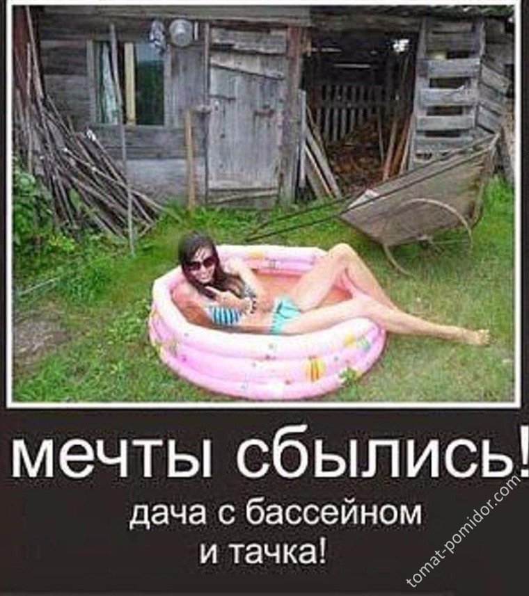 В этом году ничего сажать не буду