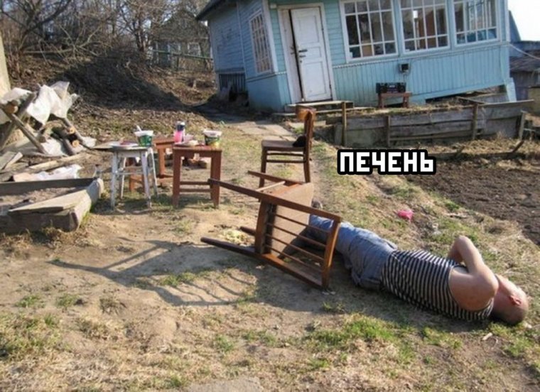 Мужики отдыхают на даче