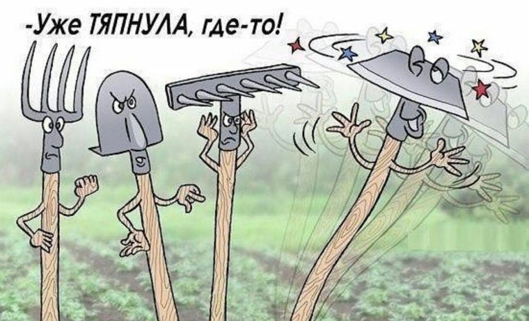 Модель Дачница