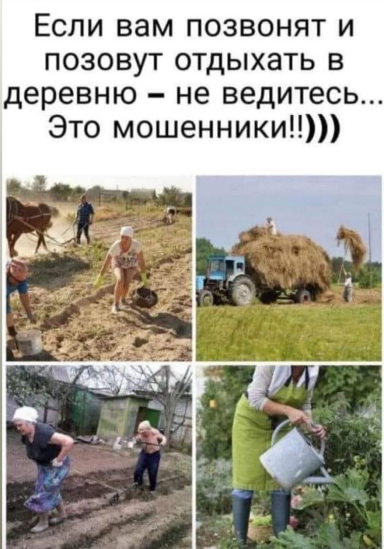 Приколы про дачу