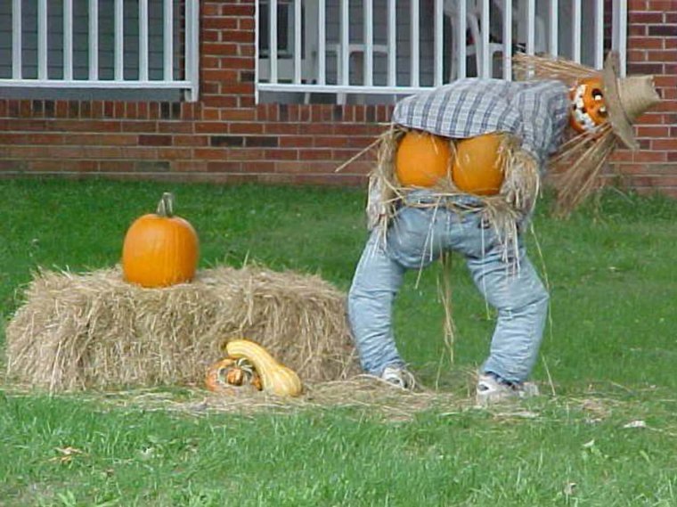 Приколы на садовых участках