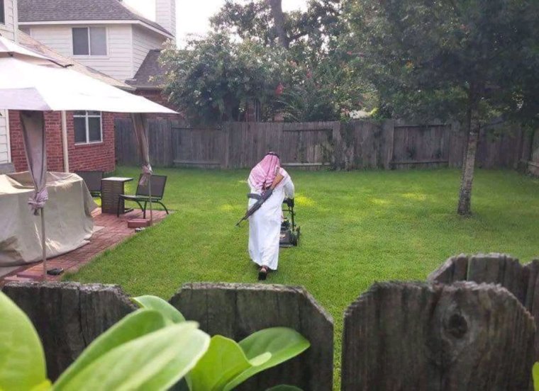 День дачника