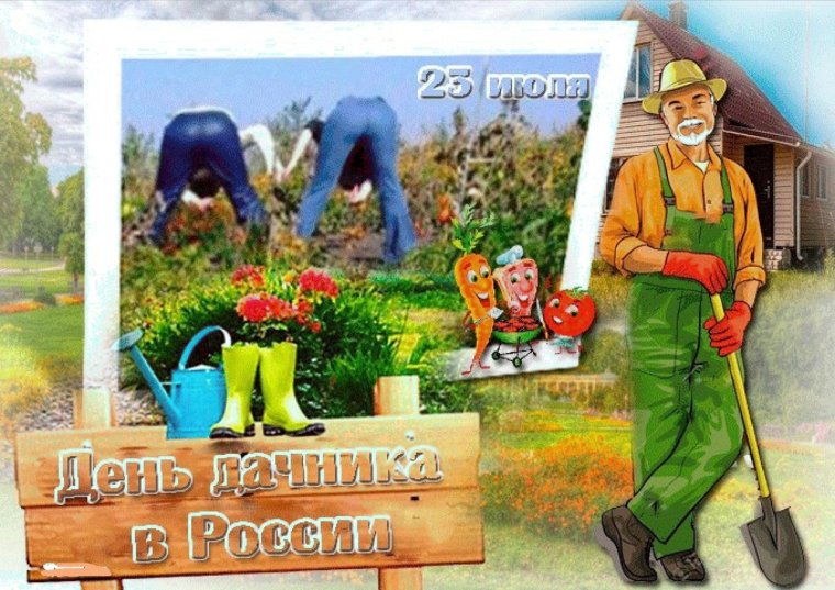 Смешные дачники