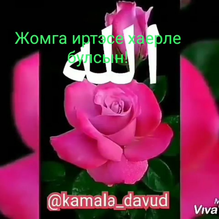 Вся в цветах Жомга