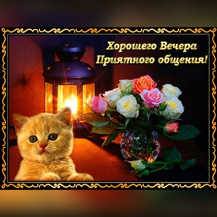 Хорошего вечера и отличного настроения