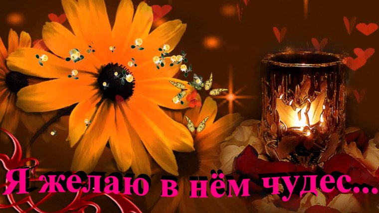 Пожелания прекрасного вечера
