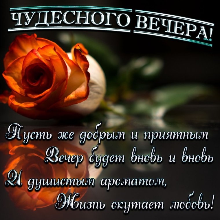 Красивые поздравления с добрым вечером