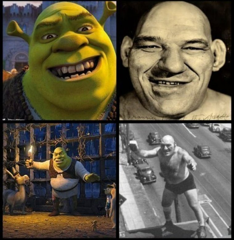 Шрек на аву