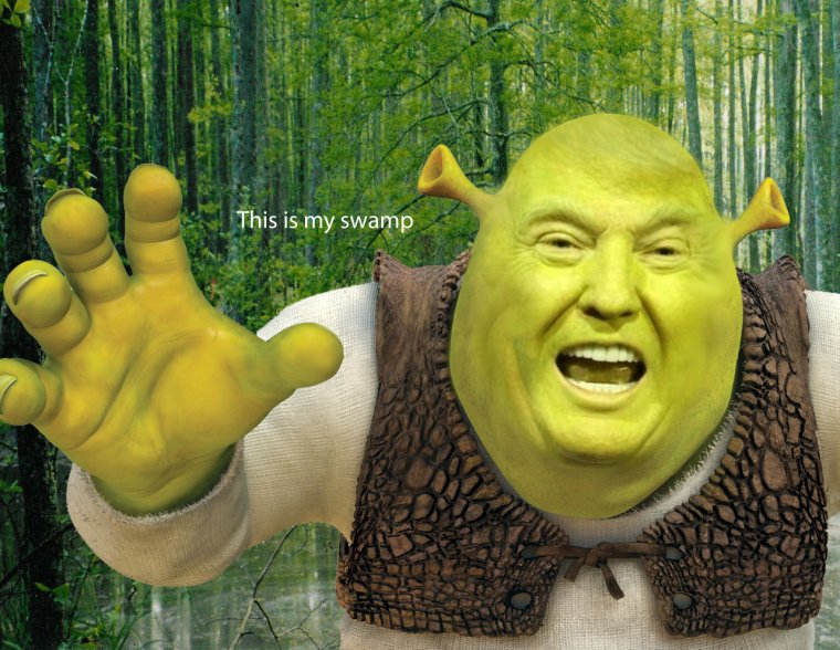 Шрек и Фиона