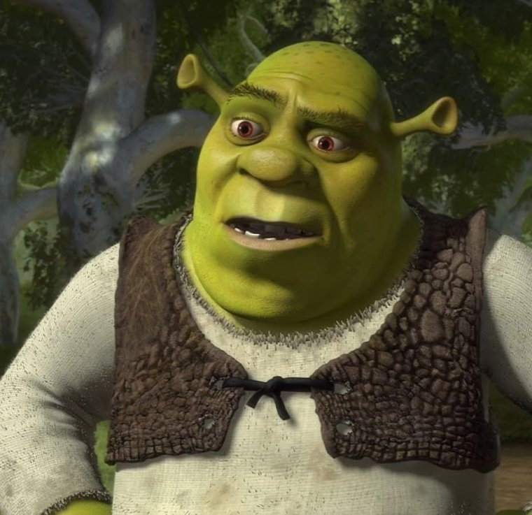 Шрек this is my Swamp