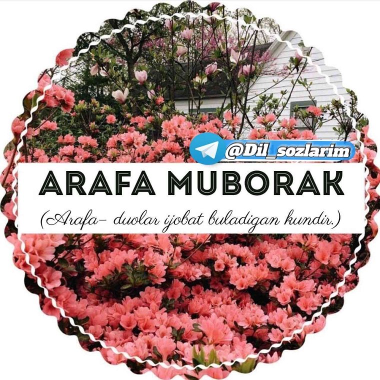 Арафа тилаклари