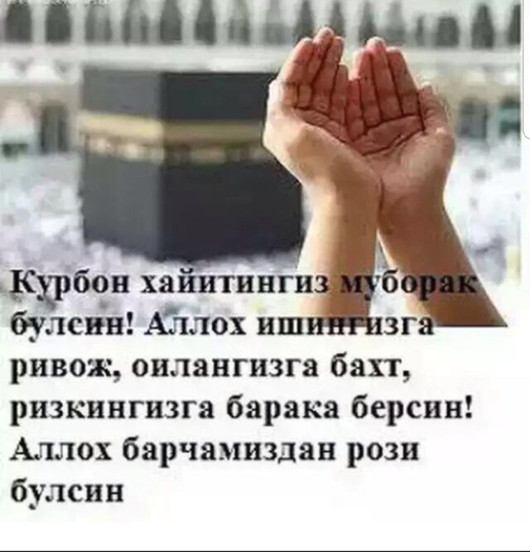 Курбон бацрам муборак булси