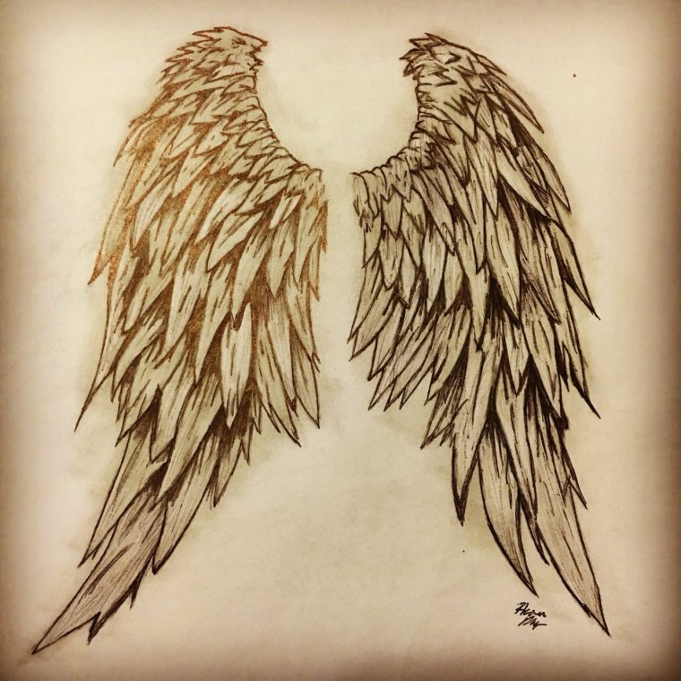Сложенные Крылья на спине