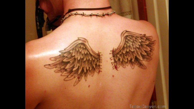 Тату Крылья на лопатках
